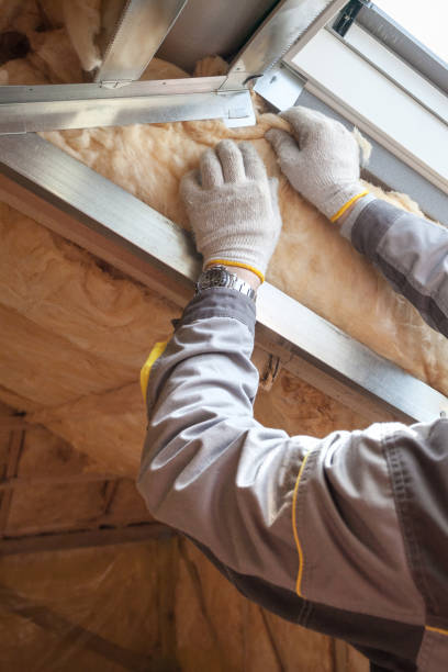 Best Fiberglass Insulation  in Village Shires, PA