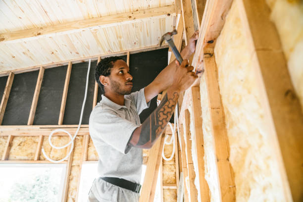 Best Insulation Removal  in Village Shires, PA