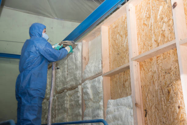 Best Best Insulation Companies  in Village Shires, PA
