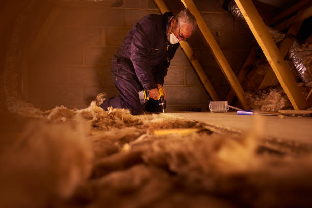 Best Energy-efficient Insulation  in Village Shires, PA