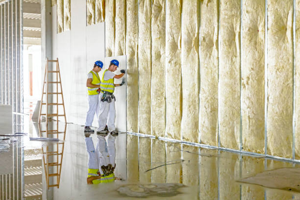 Best Insulation Repair Services  in Village Shires, PA